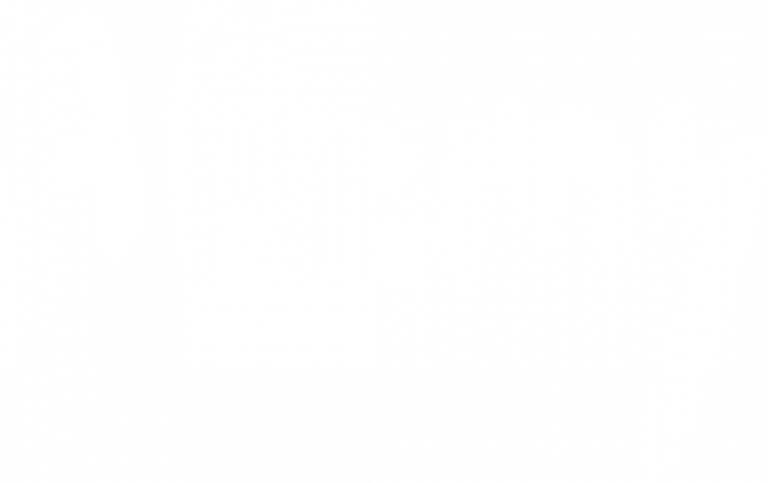 aremy logo